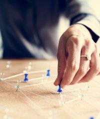 Global business network